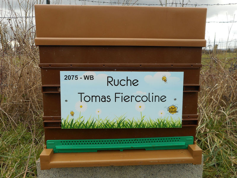 La ruche